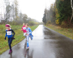 IMG_5182 IMG_5182