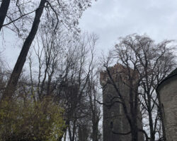 IMG_1345 IMG_1345