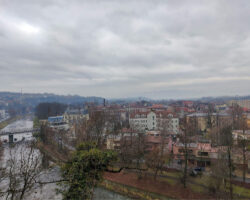 IMG_1381 IMG_1381